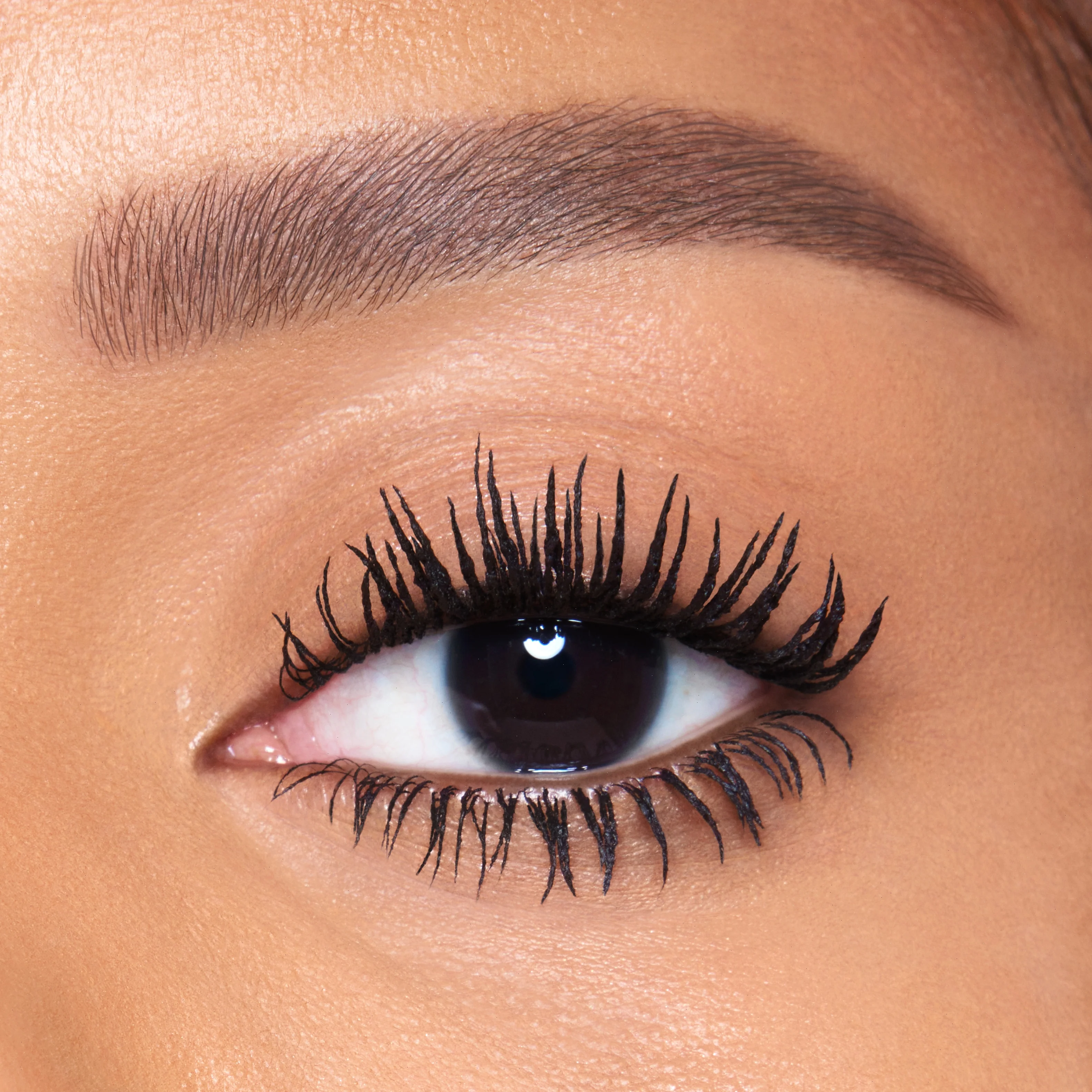 POST-PARTY EYE KIT - EYE KIT - Image 3