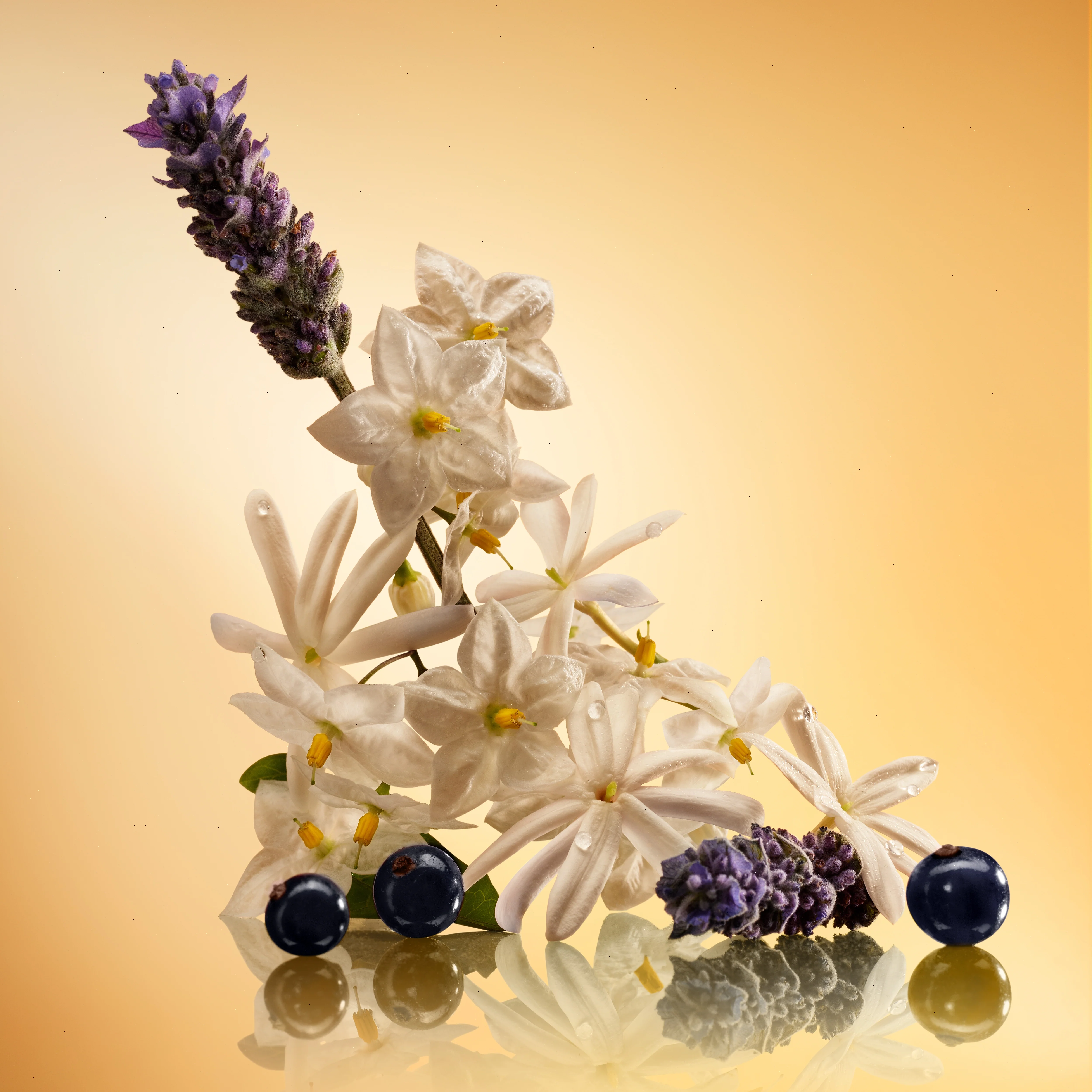 STAR CONFIDENCE - 10 ML FRAGRANCE - Image 3